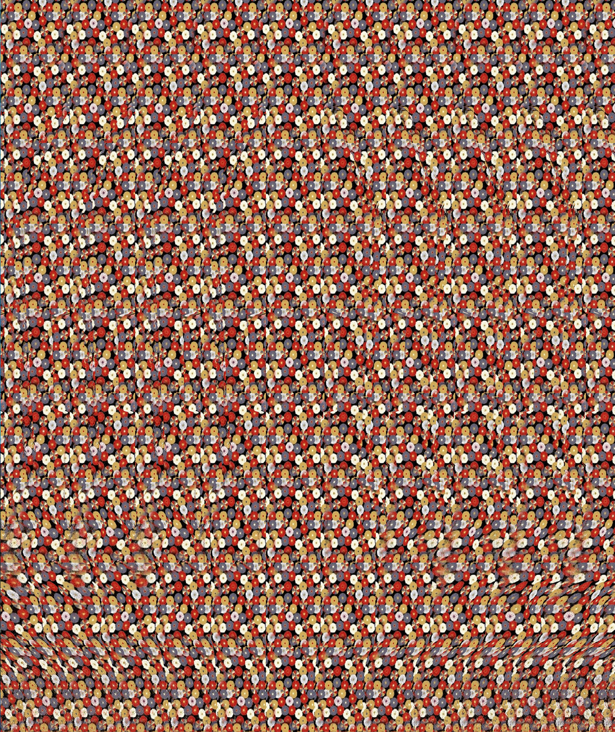 Images